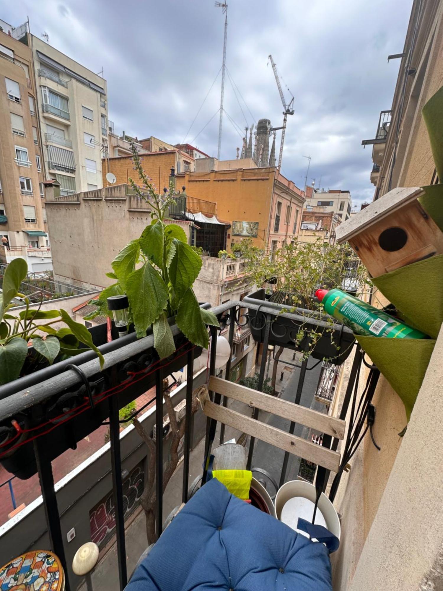 Apartamento Con Vistas A Sagrada Familia *